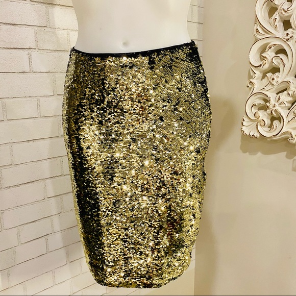 modest skirts with pockets